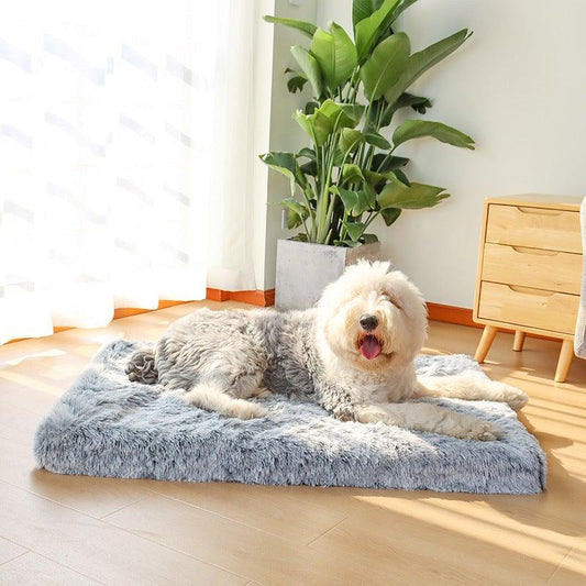 Cloud Bed - Calming Orthopaedic Pet Bed