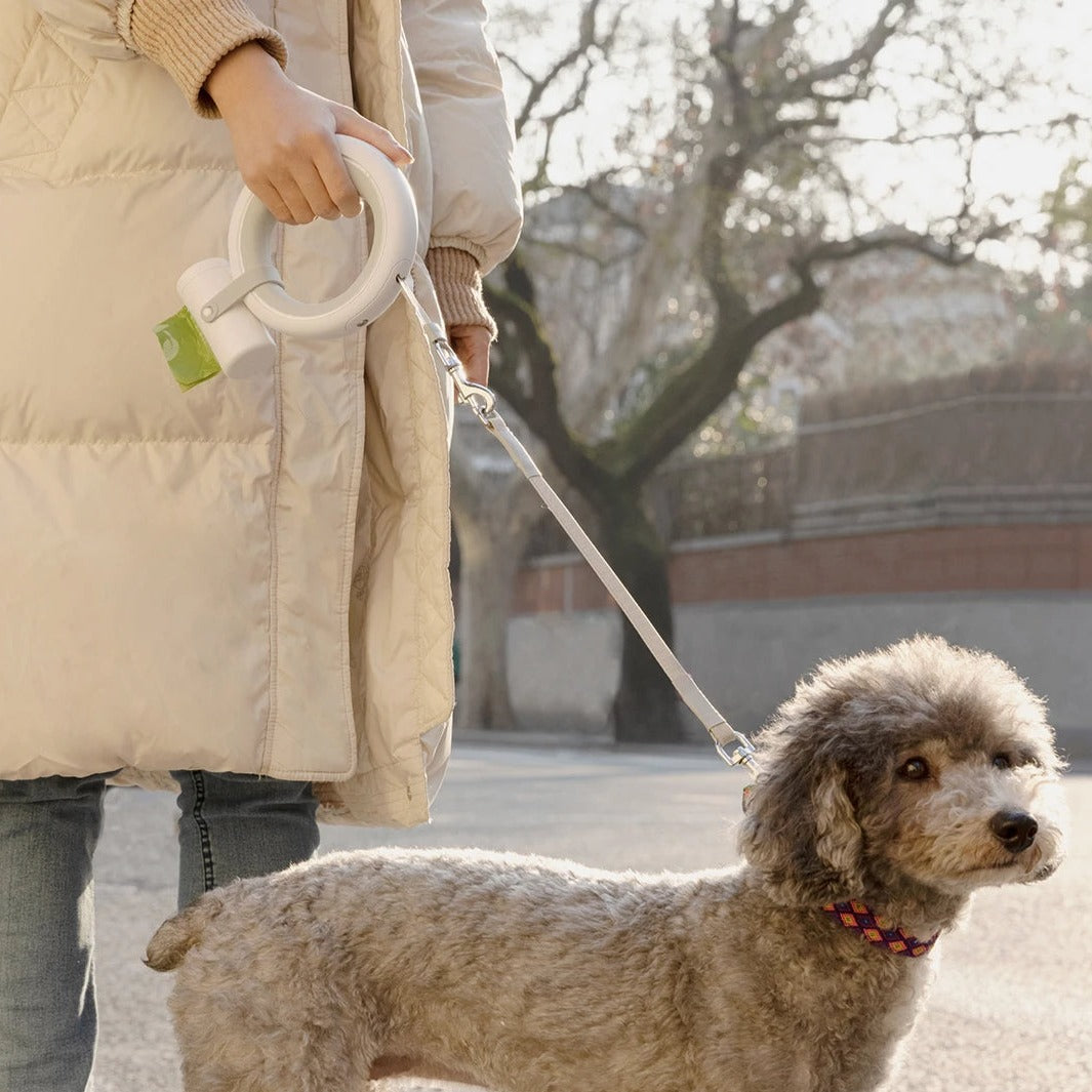 Loop - Retractable Hands-Free Dog Lead - Xindri