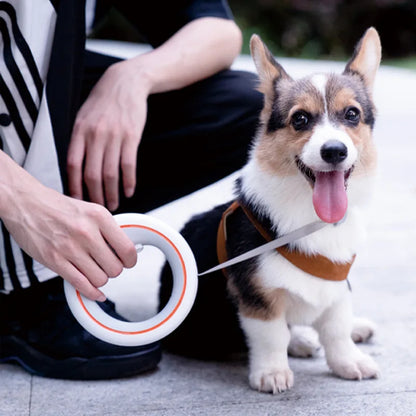 Loop - Retractable Hands-Free Dog Lead - Xindri