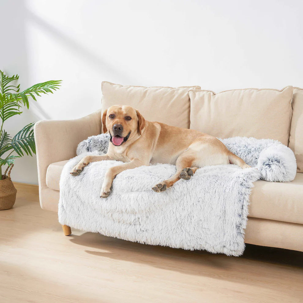 Harmony Lounge Bed - Calming Sofa Pet Bed - Xindri