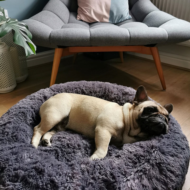 The Original ZenNest™ - Calming Anti-Anxiety Donut Pet Bed - Xindri