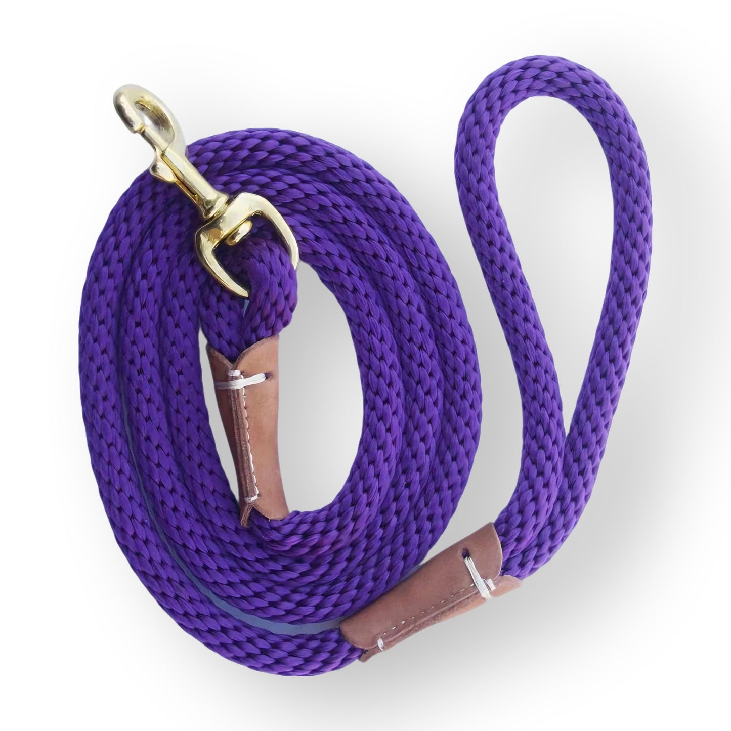 Regal Companion - Luxury Dog Training Lead - Xindri