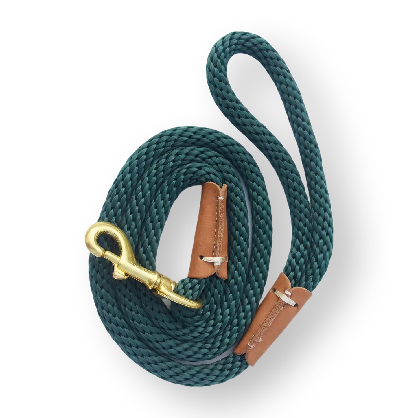 Regal Companion - Luxury Dog Training Lead - Xindri