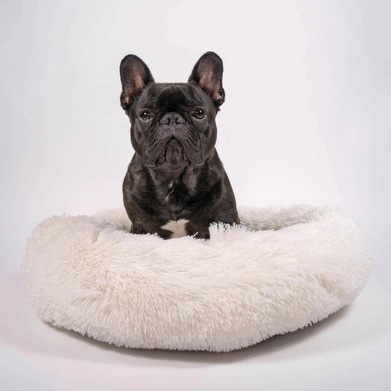 The Original ZenNest™ - Calming Anti-Anxiety Donut Pet Bed - Xindri